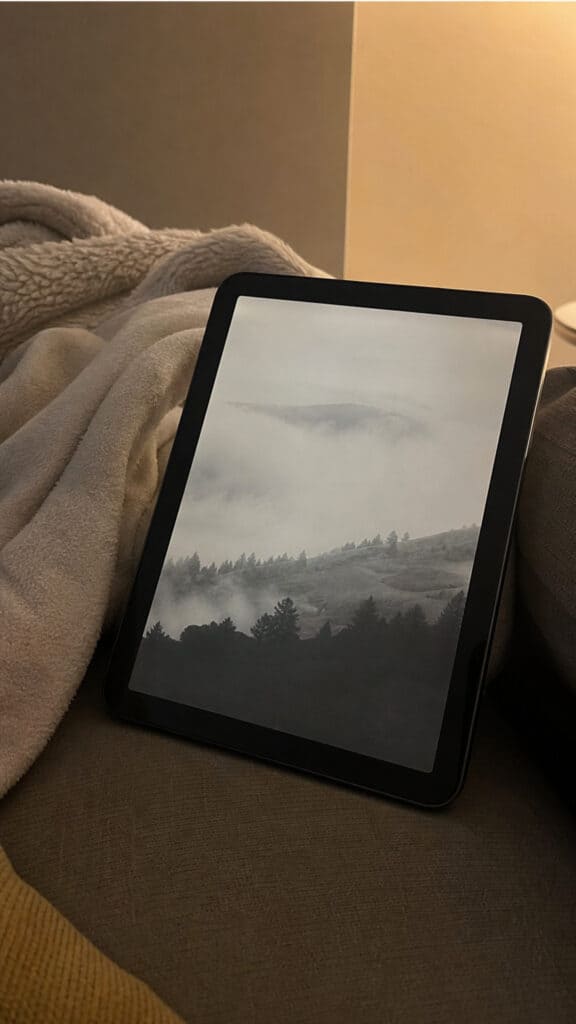 Portable Entertainment and Reading Device