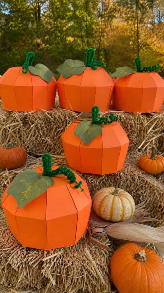 Pumpkin Patch Gift Boxes for Fall Festivities