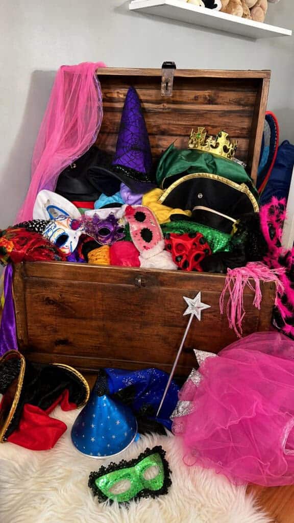 Halloween Costume Dress-Up Trunk