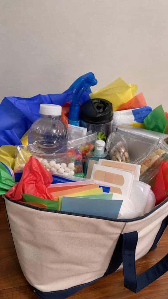 First Day Survival Kit