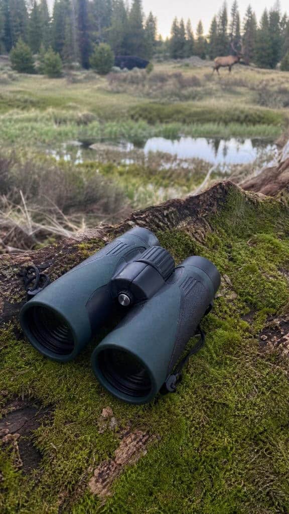 High-Quality Binoculars for Wildlife Watching
