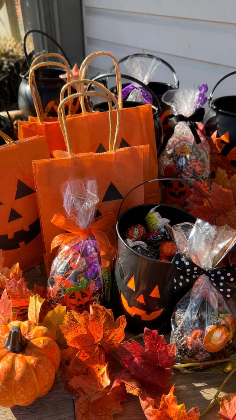 Choosing the Perfect Bags and Containers