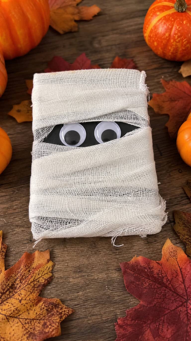 Mummy-Wrapped Card Holders
